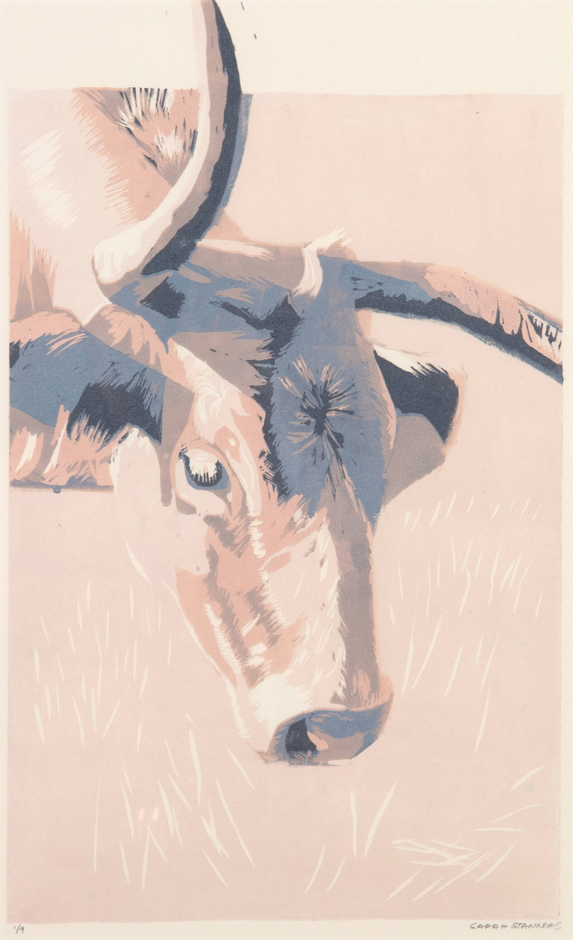 Pastel colored print of the face of a cow with horns.
